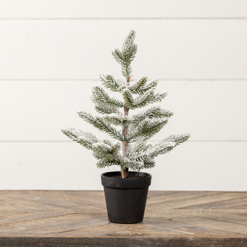 15.75" SNOWY PINE W/ PLASTIC POT