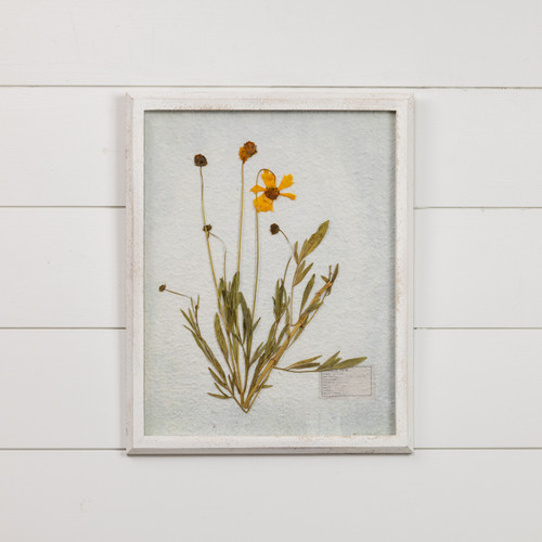 19.75" PRESSED MAY LEAF W/ WHITE FRAME