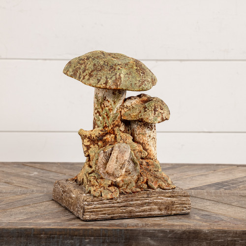 MUSHROOMS TOGETHER ON STAND
