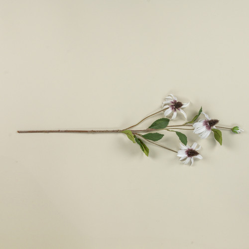 33" WHITE BLACK-EYED SUSAN SPRAY