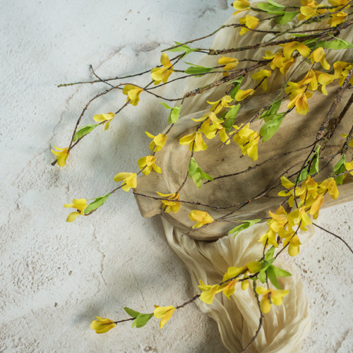 34" YELLOW FORSYTHIA BUSH