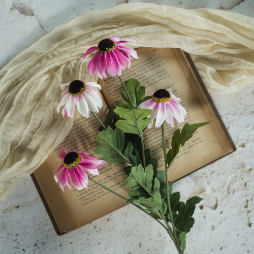25.5" PINK & CREAM BLACK-EYED SUSAN SPRAY