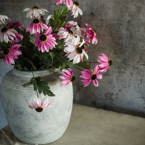 25.5" PINK & CREAM BLACK-EYED SUSAN SPRAY