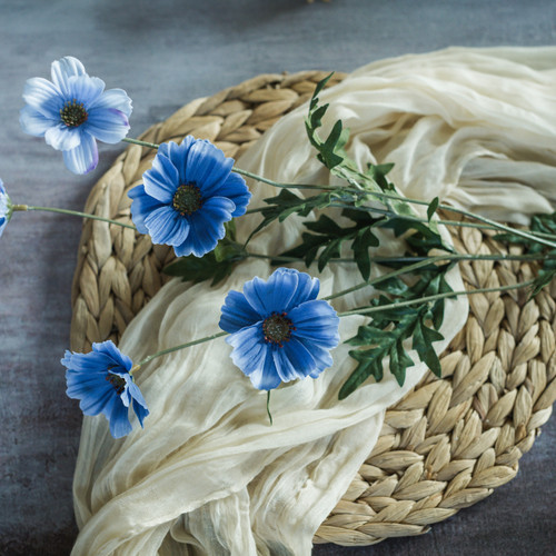 30" BLUE COSMOS SPRAY