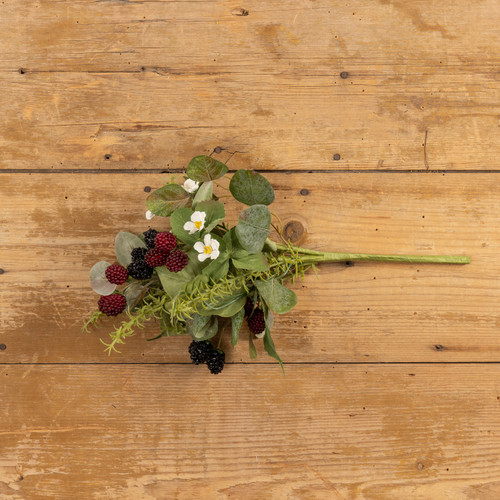 14" BLACKBERRY & RASPBERRY BUSH