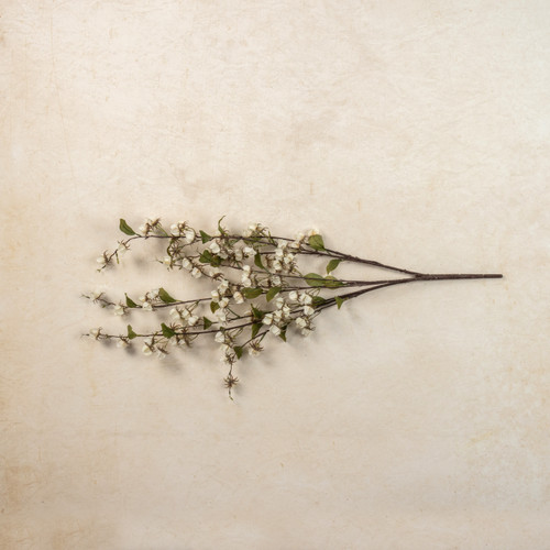 36" CREAM WILD LANTERN BUSH