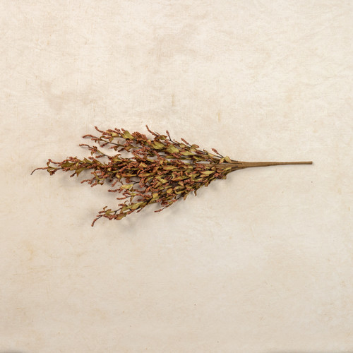 24" RUST HEATHER BUSH