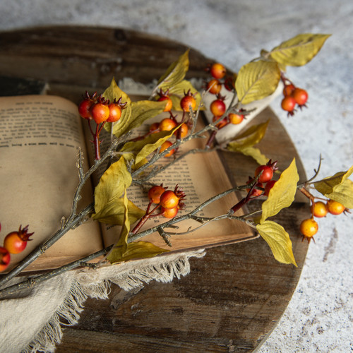 31" ORANGE ROSE HIPS SPRAY