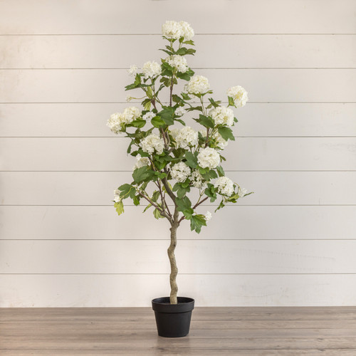 4' WHITE HYDRANGEA TREE