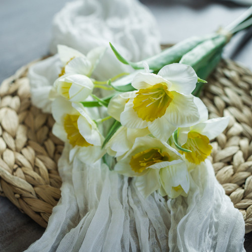 16.25" WHITE & YELLOW DAFFODIL  BUNDLE