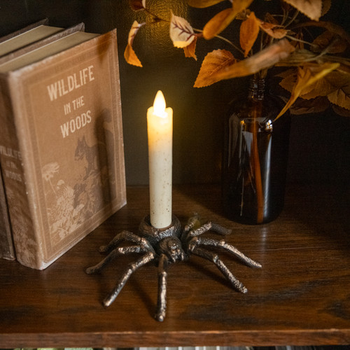 TARANTULA TAPER CANDLE HOLDER