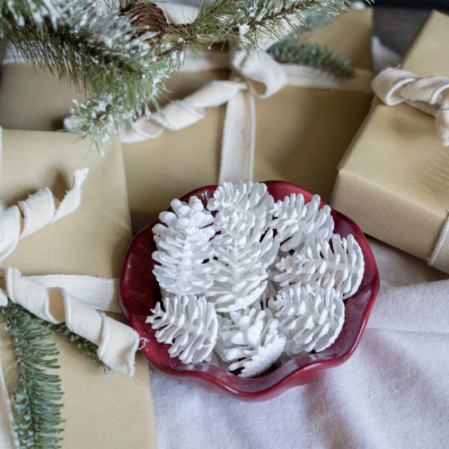 SET/ 20 WHITE GLITTERED PINECONES