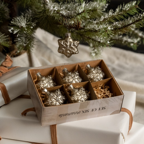 SET/ 6 SILVER GLASS SNOWFLAKE ORNAMENTS