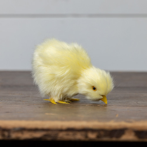 4.25" YELLOW CHICK