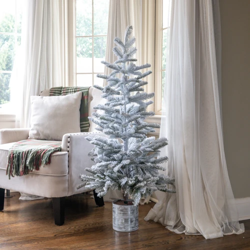 4' SNOWY HEMLOCK TREE