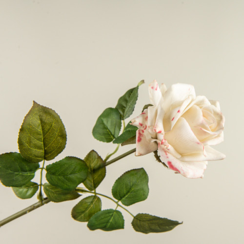 25.5" SOFT TOUCH CREAM ROSE STEM