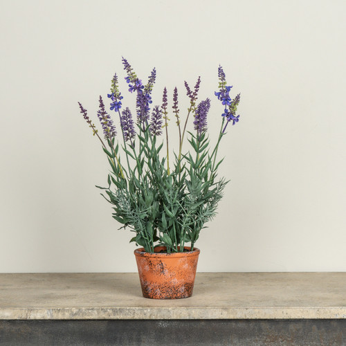 17" POTTED LAVENDER