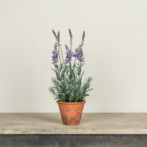 15" POTTED LAVENDER