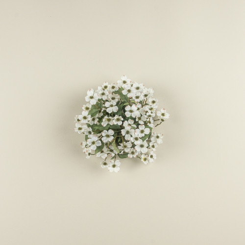 11" DOGWOOD HALF BALL