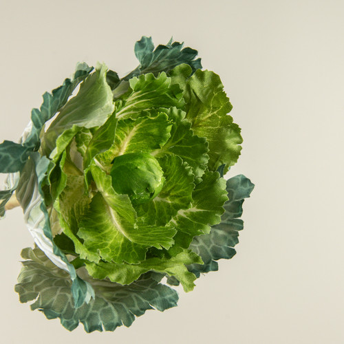 10.5" CABBAGE STEM