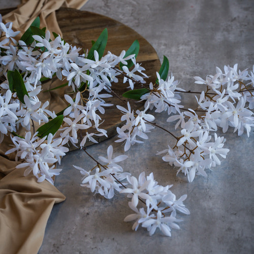 34" WHITE SANDPAPER VINE HANGING BUSH