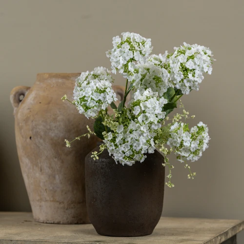 20" WHITE WILD HYDRANGEA BUSH