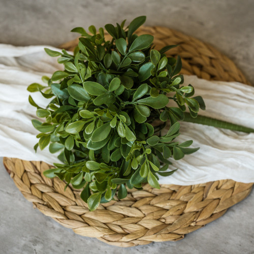 9.5" BOXWOOD BUSH