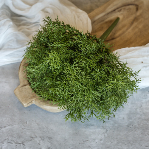10.5" ROSEMARY BUSH
