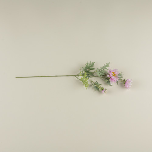27" PINK ASTER SPRAY