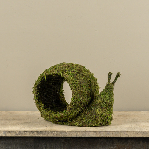 MOSS SNAIL