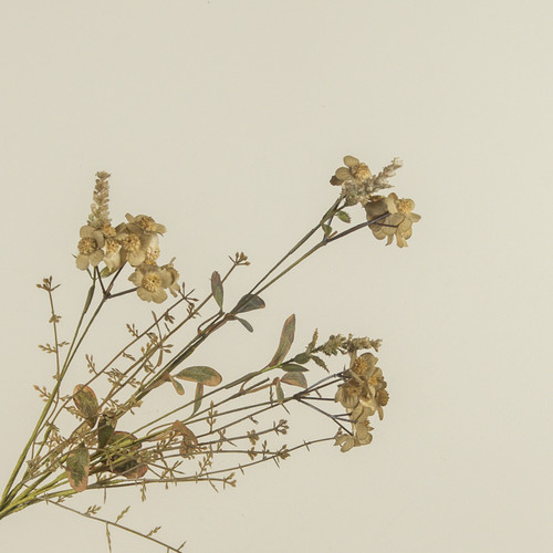 20.5" RUSTIC GREEN WILDFLOWER SPRAY