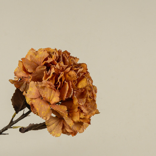 19" ORANGE HYDRANGEA SPRAY