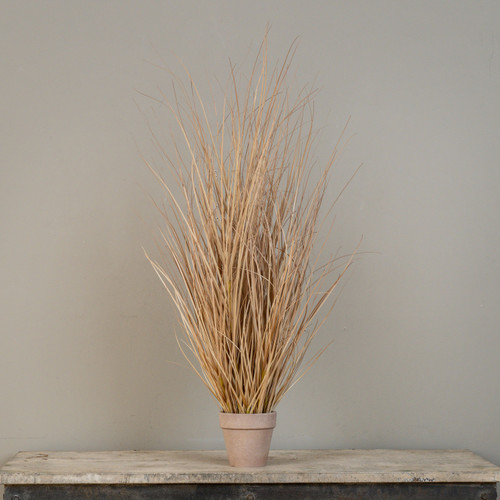 35" TAN GRASS IN POT