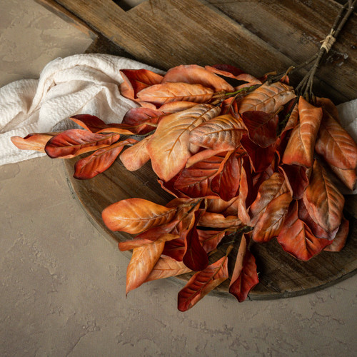 26" DRIED ORANGE MAGNOLIA LEAVES BUNDLE