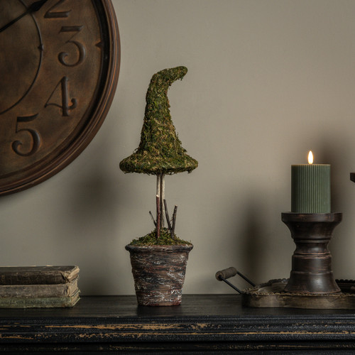 18" POTTED MOSS WITCH'S HAT