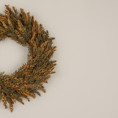 24" ORANGE TIPPED JUNIPER WREATH