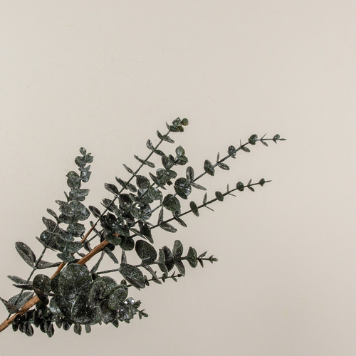 26" GLITTERED DARK GREEN EUCALYTPUS SPRAY