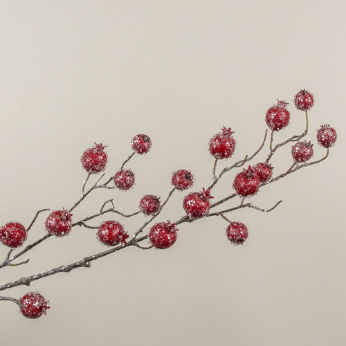43" ICY POMEGRANATE SPRAY