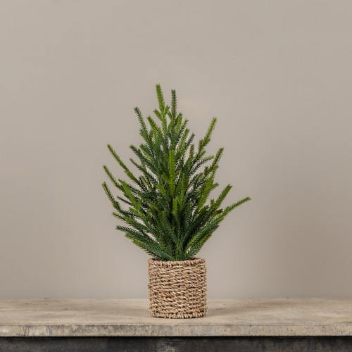 15" AUSTRIAN PINE TREE IN BASKET
