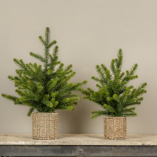 20" PINE TREE IN BASKET
