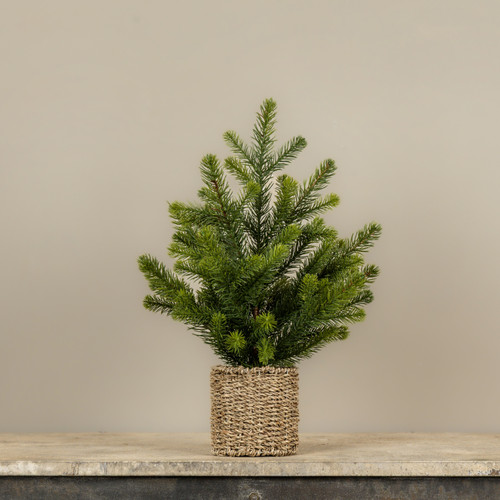 20" PINE TREE IN BASKET