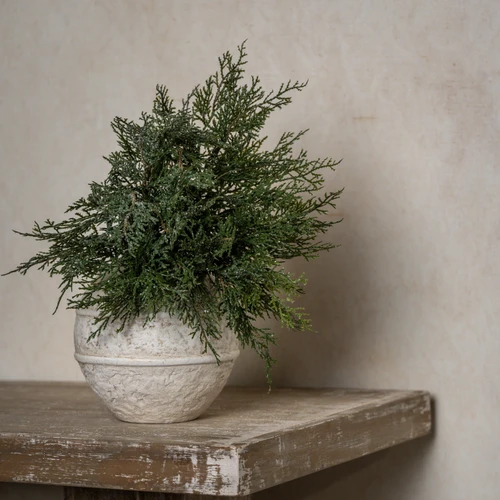 12" GLITTERED CEDAR BUSH