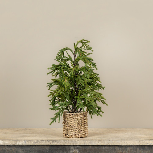 18" PINE TREE IN BASKET