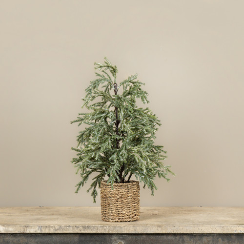 18" FROSTED PINE TREE IN BASKET
