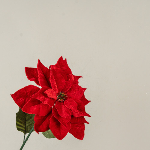26" RED POINSETTIA STEM