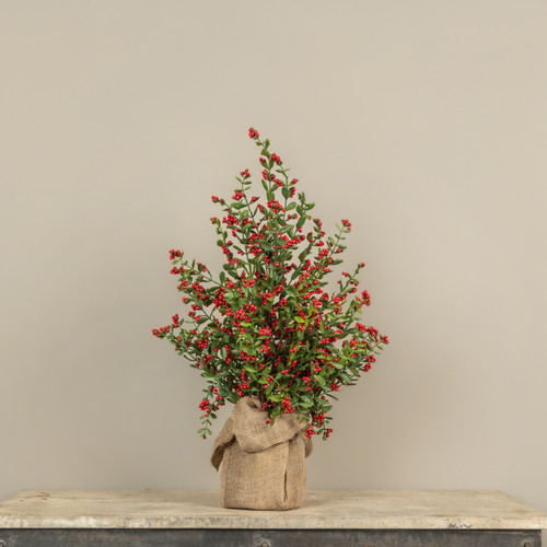 28" RUSCUS & BERRY TREE W/ BURLAP BASE