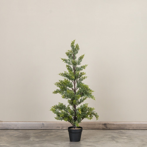 37" JUNIPER TREE IN POT