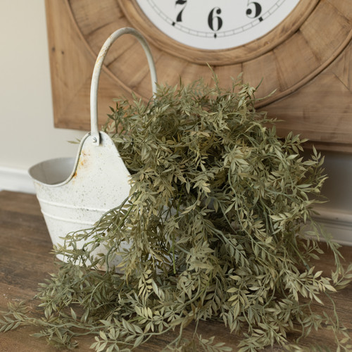 35" FICUS HANGING BUSH