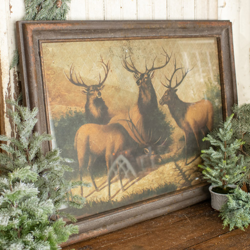 STAGS FRAMED PICTURE