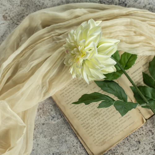 24" LIGHT GREEN DAHLIA STEM